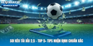 Soi Kèo Tài Xỉu 2.5