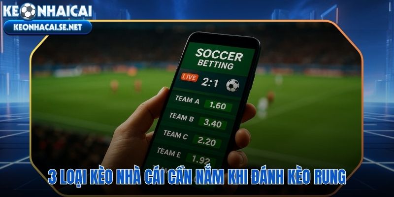 Ba dạng kèo quyết định phản xạ chốt số trong trận đấu