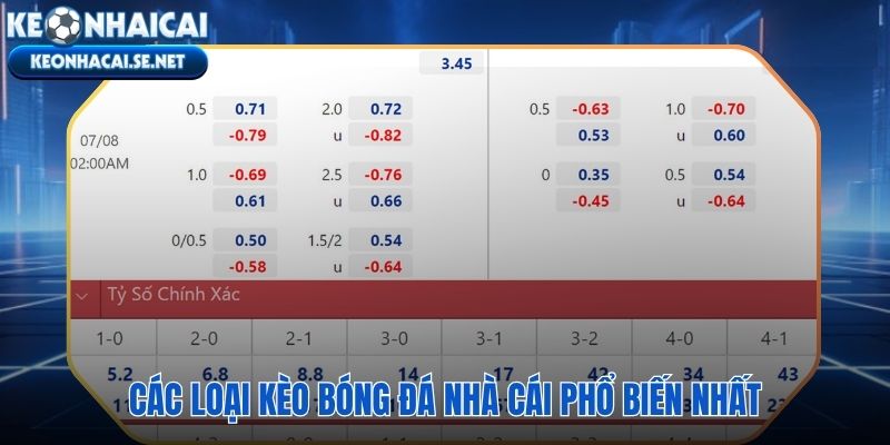 Bản đồ các dạng kèo nhà cái từ Handicap đến Tài Xỉu