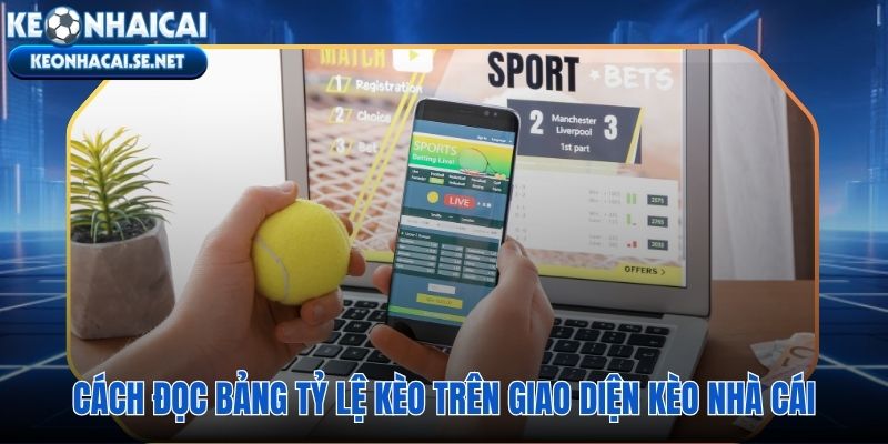 Bảng tỷ lệ kèo hiển thị ba dạng chỉ số trong cùng một hàng