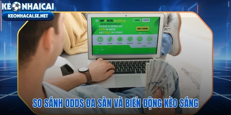 Tỷ lệ nhà cái đa sàn và chiều biến động từ kèo sáng đến giờ đấu