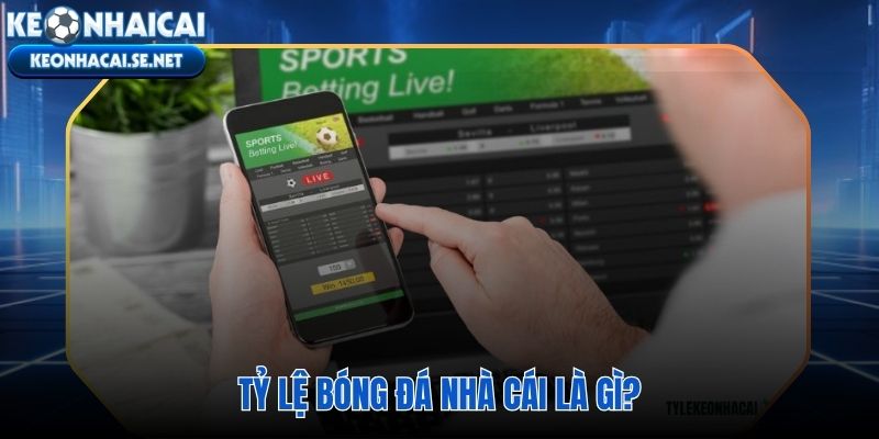 Tỷ lệ bóng đá nhà cái chỉ số cược phản ánh xác suất kết quả trận đấu