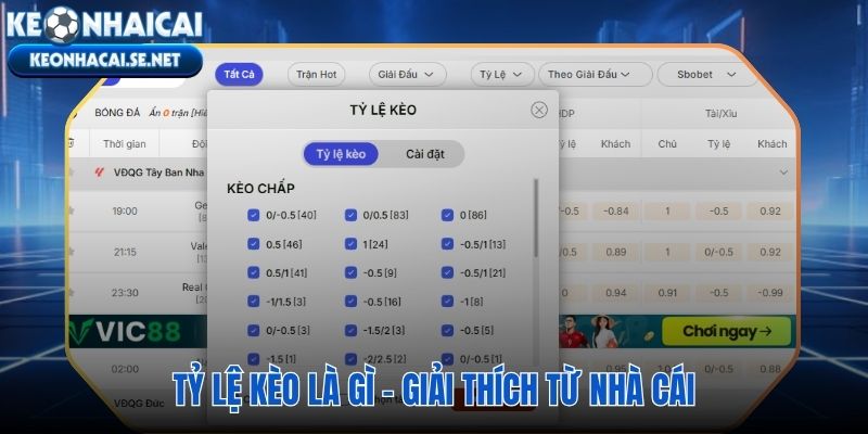 Tỷ lệ kèo con số phản ánh xác suất và tiền nhận về